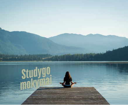Studygo mokymu psl foto ()